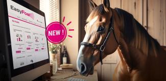 Nouveauté : Le site Easyfoal fait peau neuve ! 