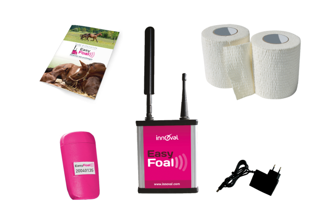 Kit complet poulinage EasyFoal -INDOOR