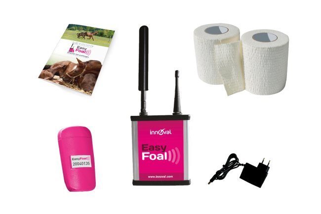 Kit complet poulinage EasyFoal - INDOOR (1capteur)