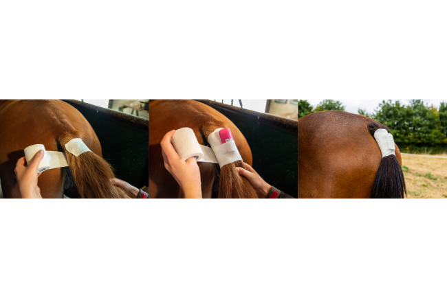 Kit complet poulinage EasyFoal - INDOOR (1capteur)