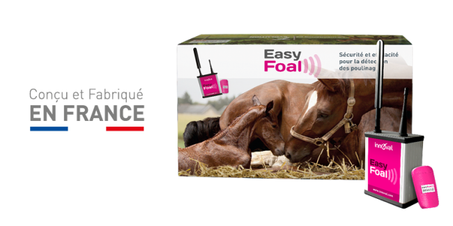 Kit complet poulinage EasyFoal -INDOOR