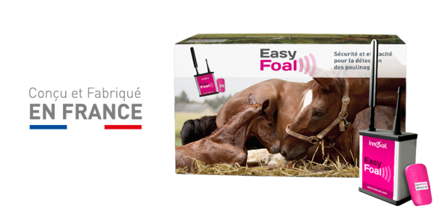 Kit complet poulinage EasyFoal - INDOOR (1capteur)