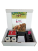 Kit complet poulinage EasyFoal - INDOOR (1capteur)